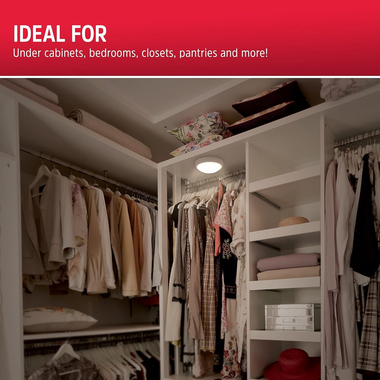 Energizer Battery-Operated Tap Light – Minimal Glow Night Light for Bookshelves, Curio Cabinets, and Hallways