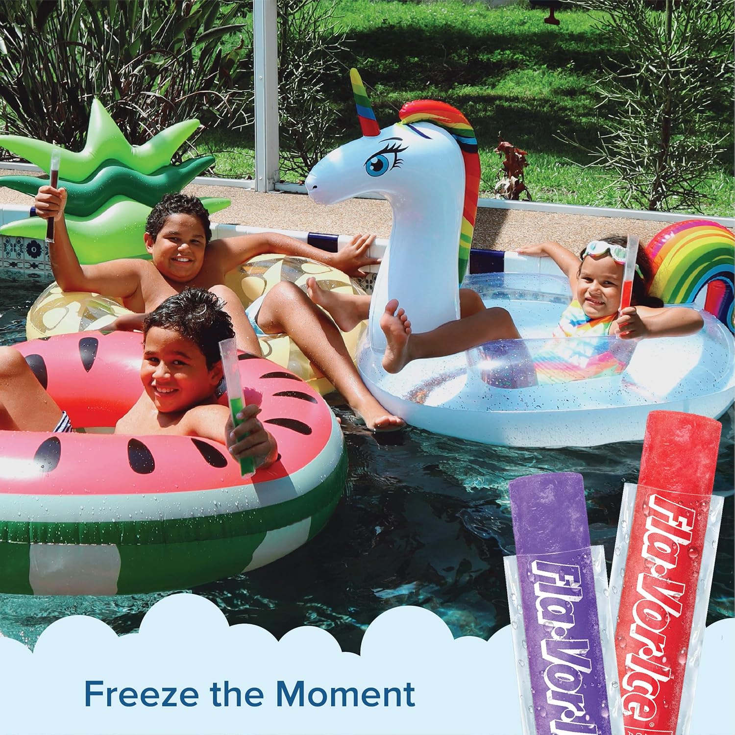 Fla-Vor-Ice 1.5 Oz Freezer Tubes – Thoughtful Housewarming and Summer Host Gift with 6 Classic Flavors, 100 Count