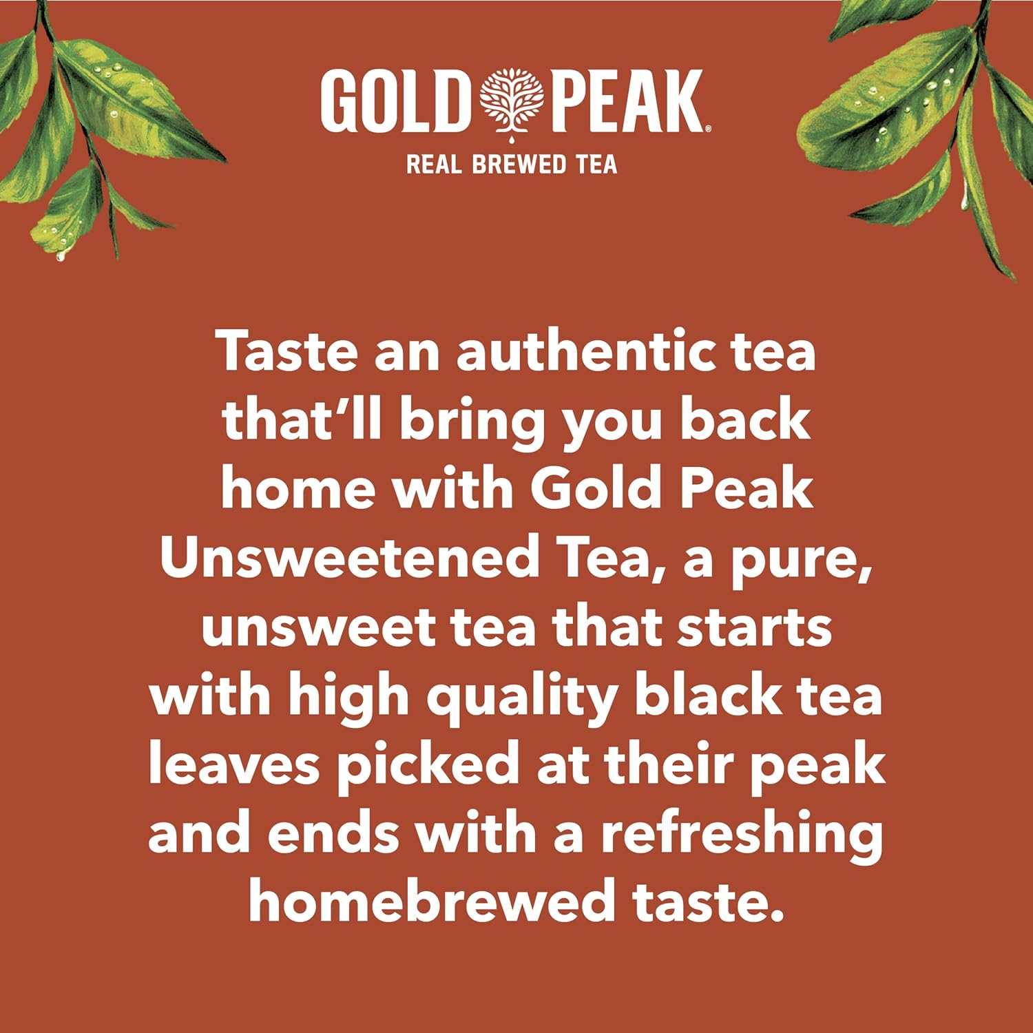 Gold Peak Iced Tea – Low-Calorie Hydration Companion for Evening Wind-Down and Self-Care, 16.9 fl oz 6 Pack