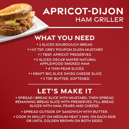 Grey Poupon Dijon Mustard – Travel-Friendly Condiment for Outdoor Entertaining and Tailgating Sandwiches
