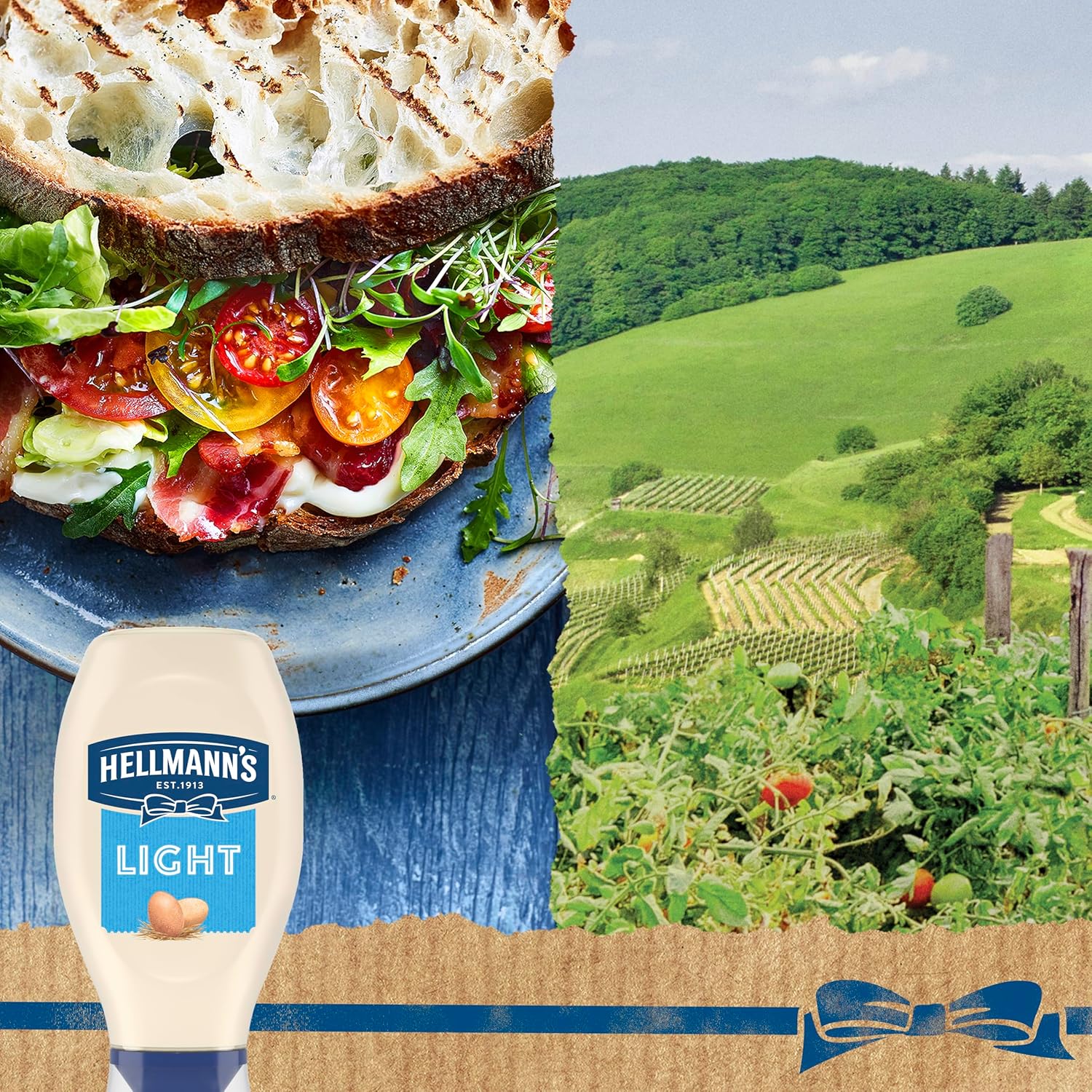 Hellmann's Light Mayonnaise Squeeze Bottle – Diet-Friendly Mayo for Clean Label Meal Prep and Calorie Counting Routines
