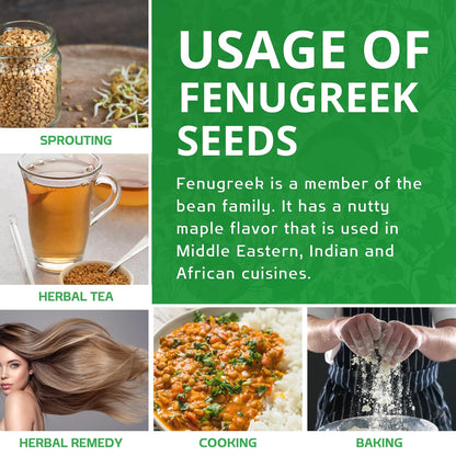 Jiva Organic Fenugreek Seeds 7 Ounce – Pure Indian Methi Seeds for Postpartum Wellness, Soothing Soaks & Restorative Rituals