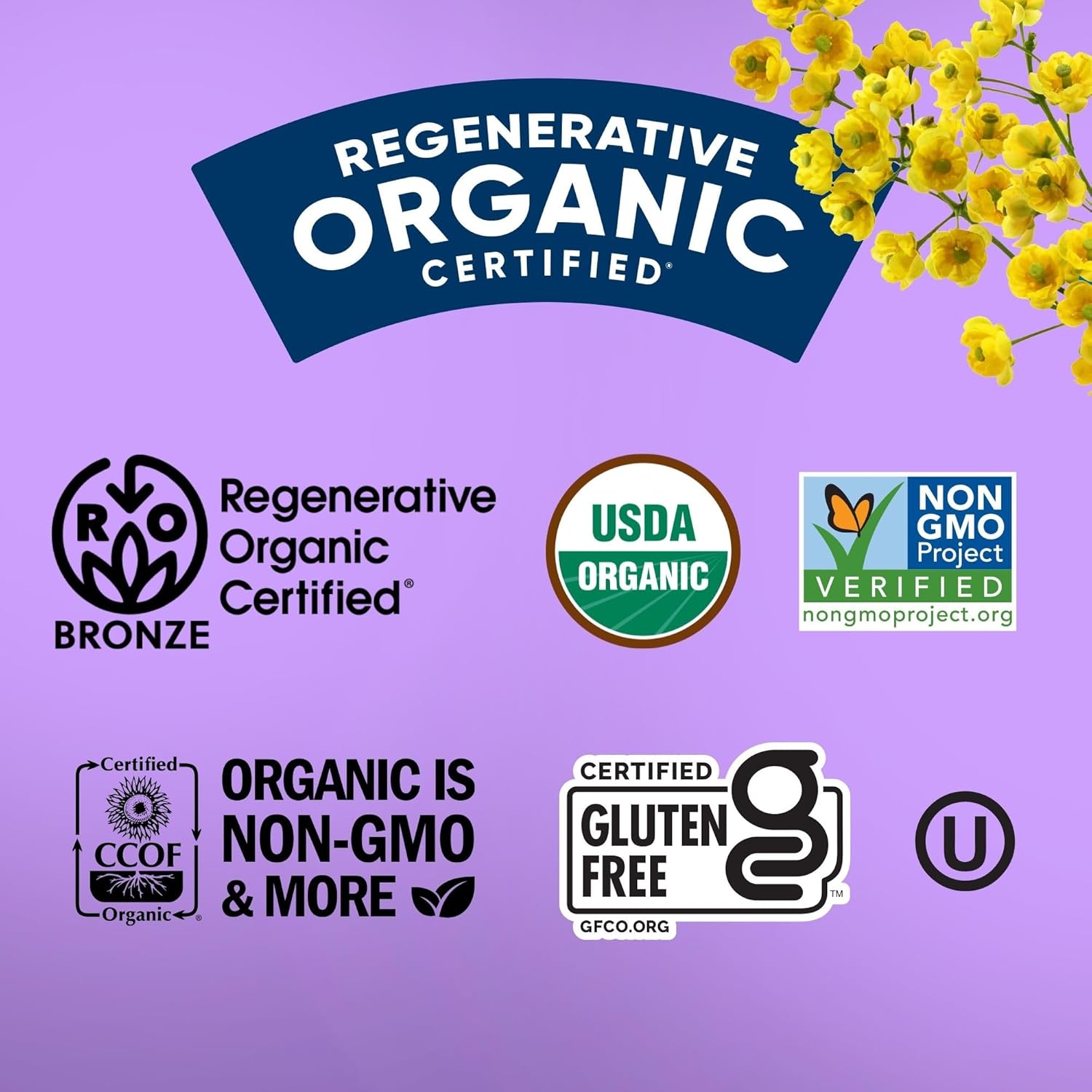 Lundberg Family Farms Organic Jasmine Rice – Clean-Label Grain for an Intentional Bulk Pantry, USDA Organic