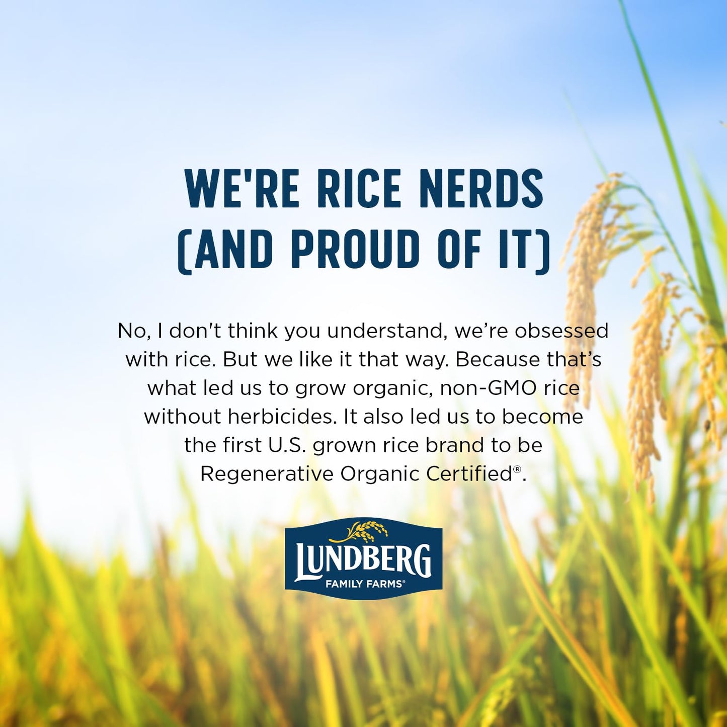 Lundberg Organic Basmati – Non-Sticky Rice for Fast Weeknight Stir Fries