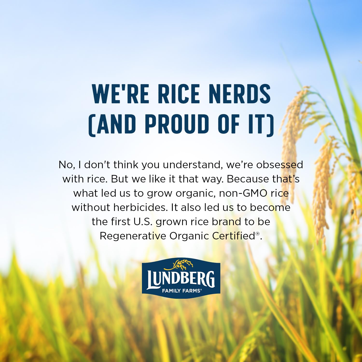 Lundberg Organic Basmati – Non-Sticky Rice for Fast Weeknight Stir Fries