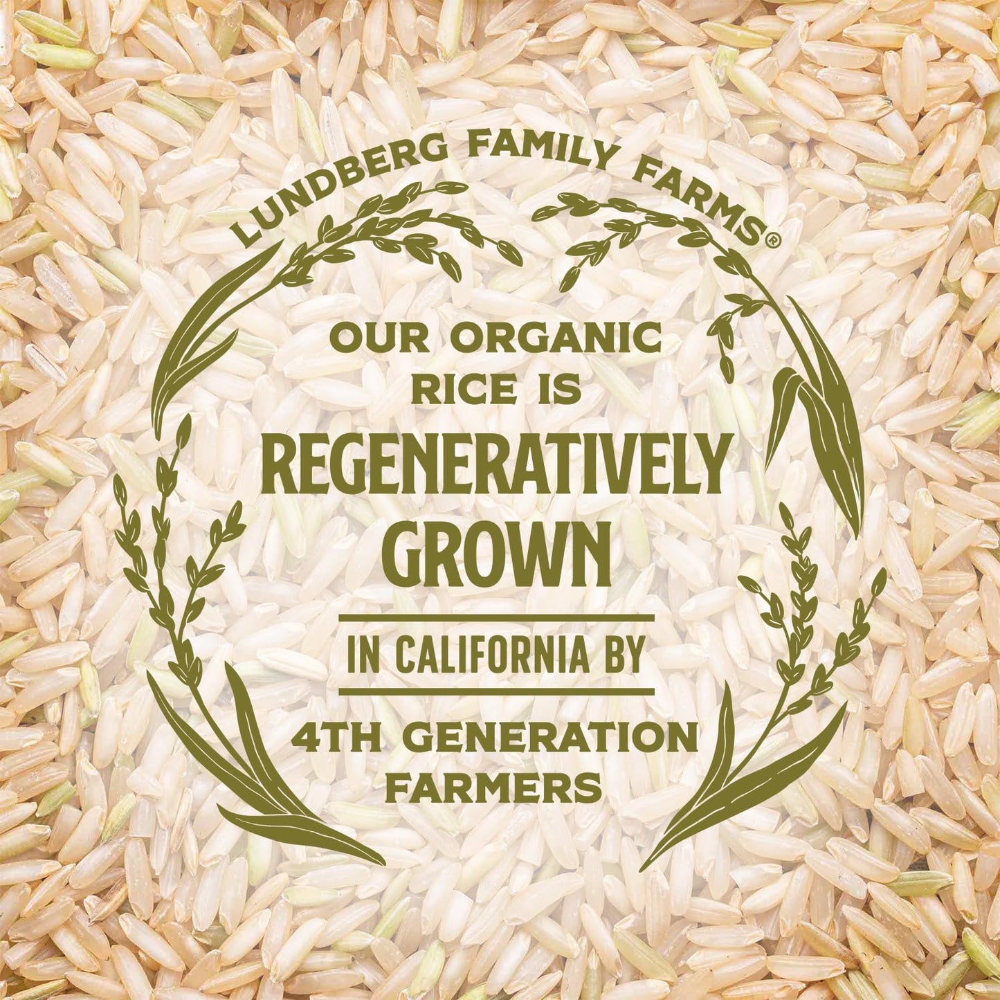 Lundberg Organic Basmati – Non-Sticky Rice for Fast Weeknight Stir Fries