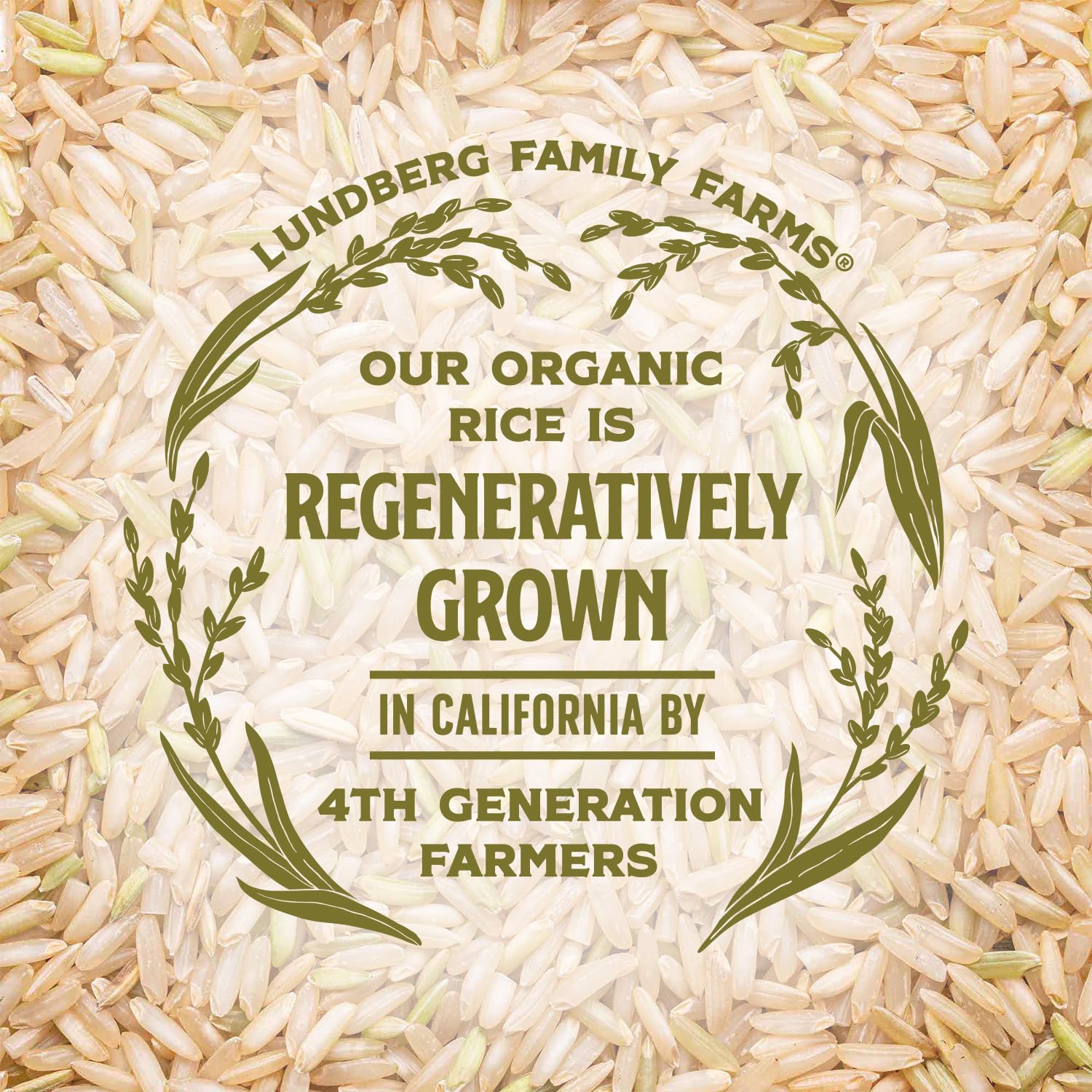 Lundberg Organic Basmati – Non-Sticky Rice for Fast Weeknight Stir Fries