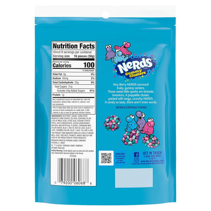 NERDS Juicy Gummy Clusters – Pantry Candy Drawer Snack for Kids Ages 6 Plus, 2-Pack Recloseable Bags