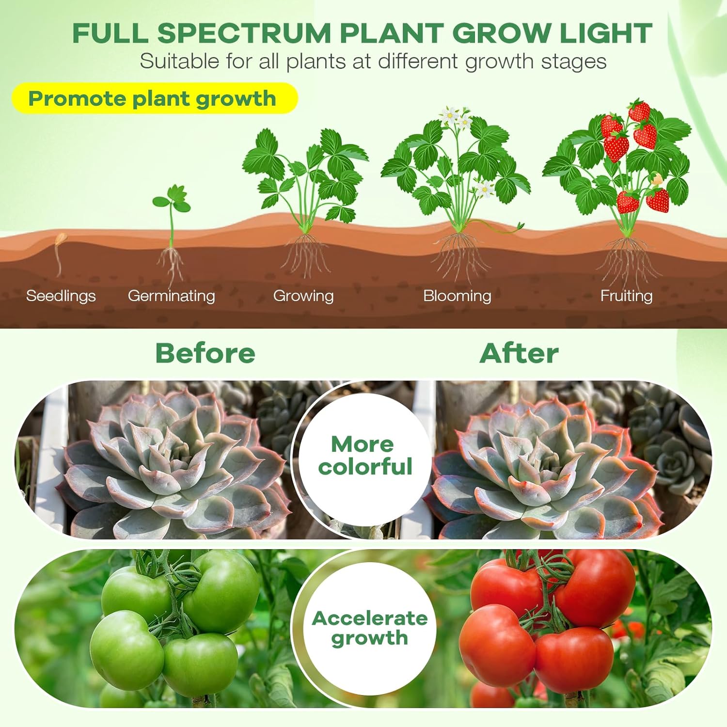 SANSI Clip-On Grow Lamp – Holiday Gift for the Friend Whose Plants Keep Wilting in Winter