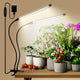 2 heads