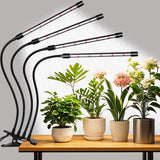 Domus Botanix Full Spectrum Plant Light – Bedroom Sanctuary Lighting for Houseplants and Quiet Evenings